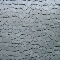 Decorative wild clutches of Samaca